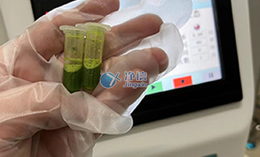 上海凈信全自動樣品快速研磨儀對柑橘葉脈研磨實驗